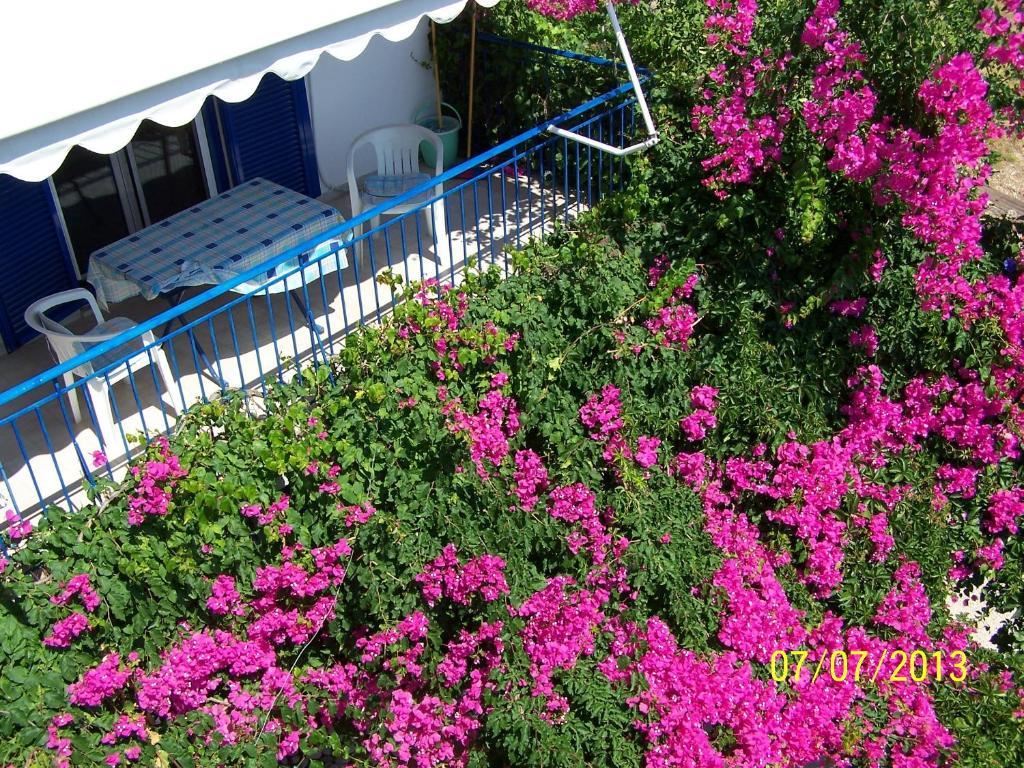 Gianna Studios Nydri (Lefkada) Exterior foto