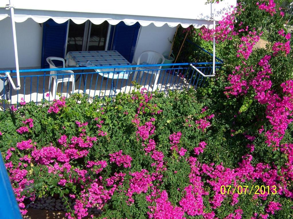 Gianna Studios Nydri (Lefkada) Exterior foto